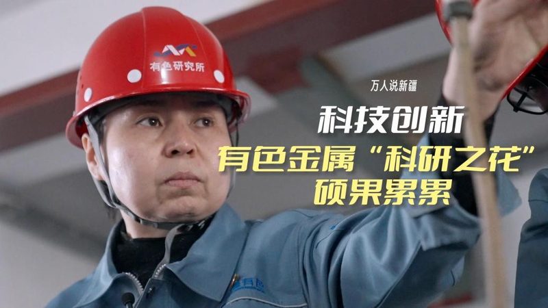 免费低代码平台代理加盟：揭秘其背后的商业模式与机遇