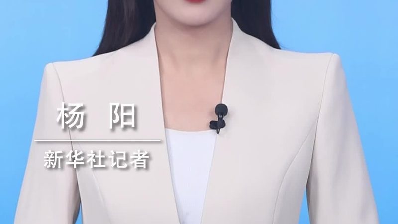 低代码与零代码平台：本质区别与选择指南